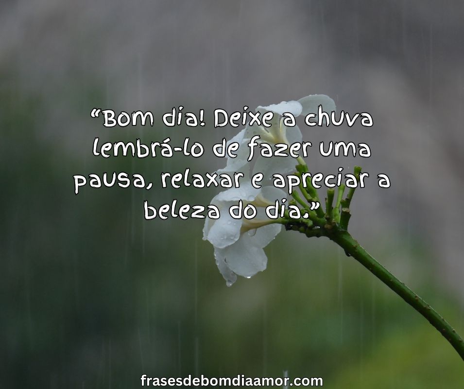 bom-dia-deixe-a-chuva-rGzdzooSEb