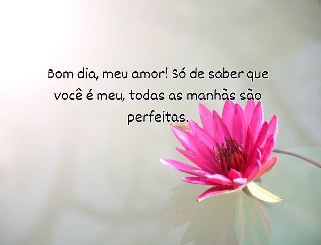 bom-dia-meu-amor-so-xybQg5zYPy