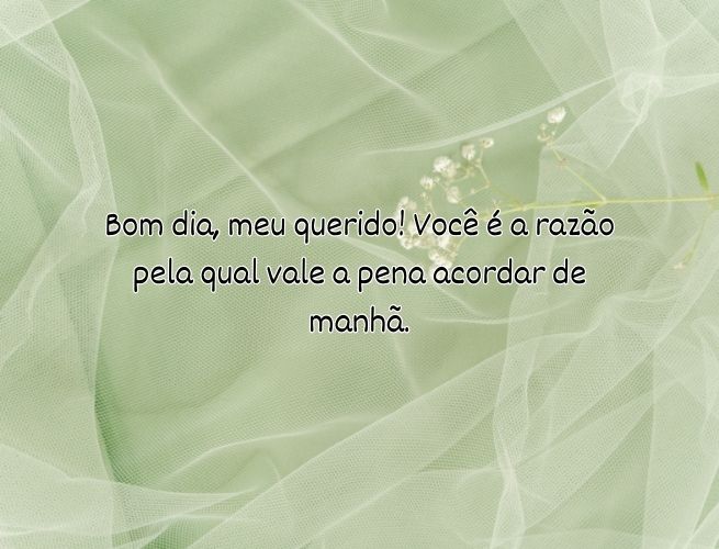 bom-dia-meu-querido-voce-eIDtqyRwCI