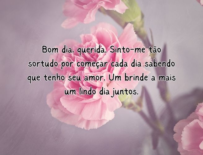 bom-dia-querida-sinto-me-tao-7T1S3FfONN