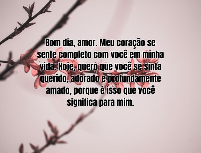 bom-dia-amor-meu-coracao-E9IfRUgbrf