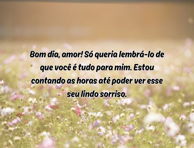 bom-dia-amor-so-queria-Dq9NtUZpsQ