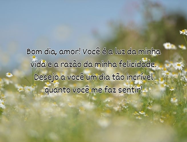 bom-dia-amor-voce-e-5lLMGIHgd2