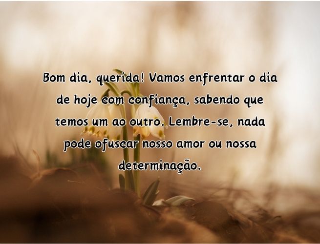 bom-dia-querida-vamos-enfrentar-HXLAz1vGMv