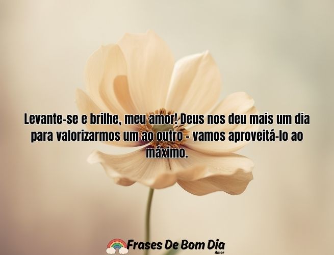 levante-se-e-brilhe-meu-amor-GR0Bvm14V7