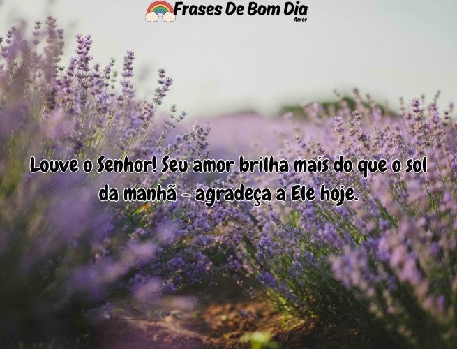 louve-o-senhor-seu-amor-0A531w1E0K