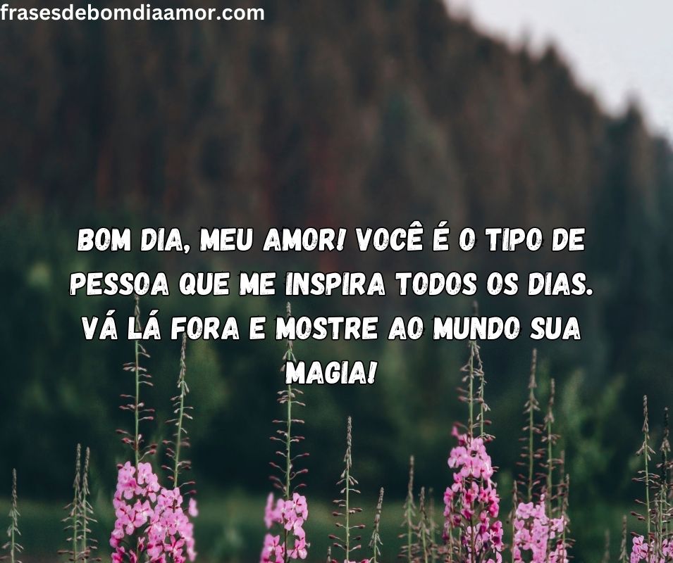 bom-dia-meu-amor-voce-LNkRLX0dey