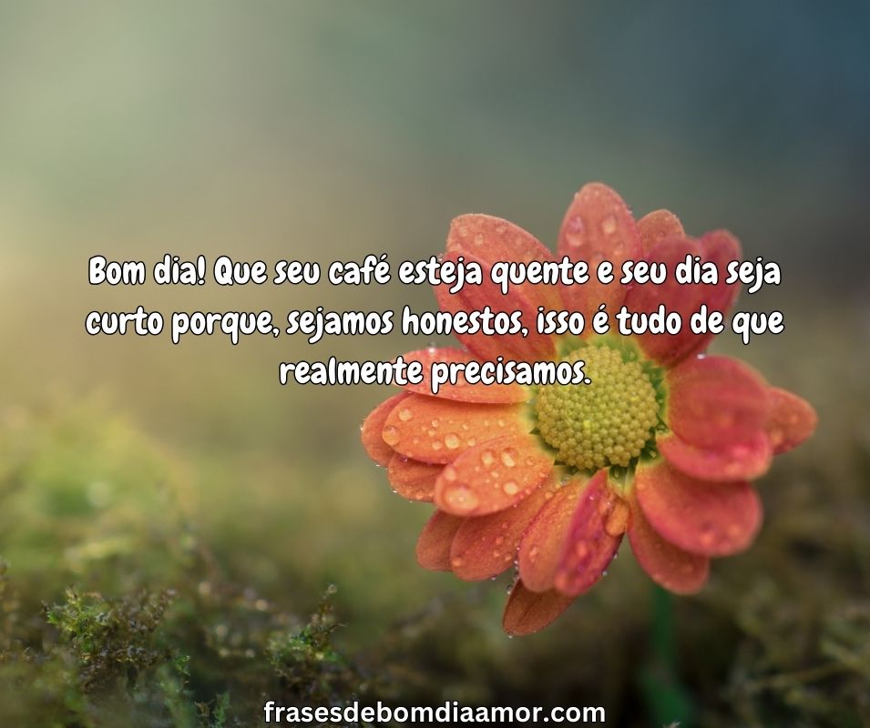 bom-dia-que-seu-cafe-4QWDSMRUPE