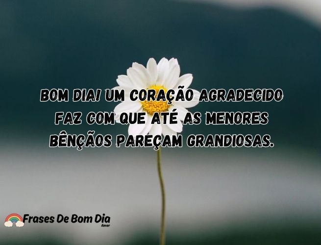 bom-dia-um-coracao-agradecido-Yho0MvNKCI