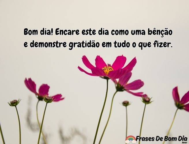 bom-dia-encare-este-dia-o49TrUeg5n