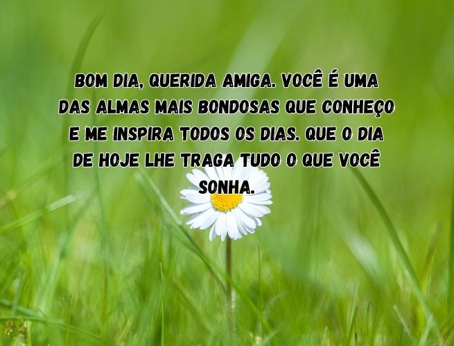 bom-dia-querida-amiga-voce-6YQHsa8tlq