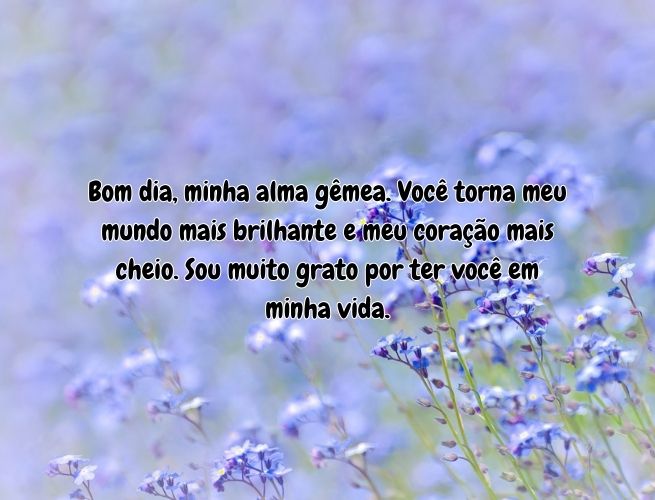 bom-dia-minha-alma-gemea-3KAza5J0tC