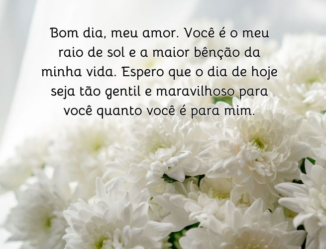 bom-dia-meu-amor-voce-y6HJluSsYG