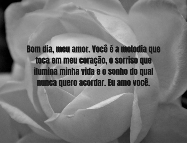 bom-dia-meu-amor-voce-VZMJP5jYaU