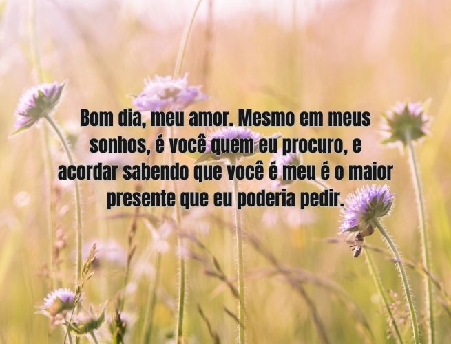 bom-dia-meu-amor-mesmo-7AAKp5v838